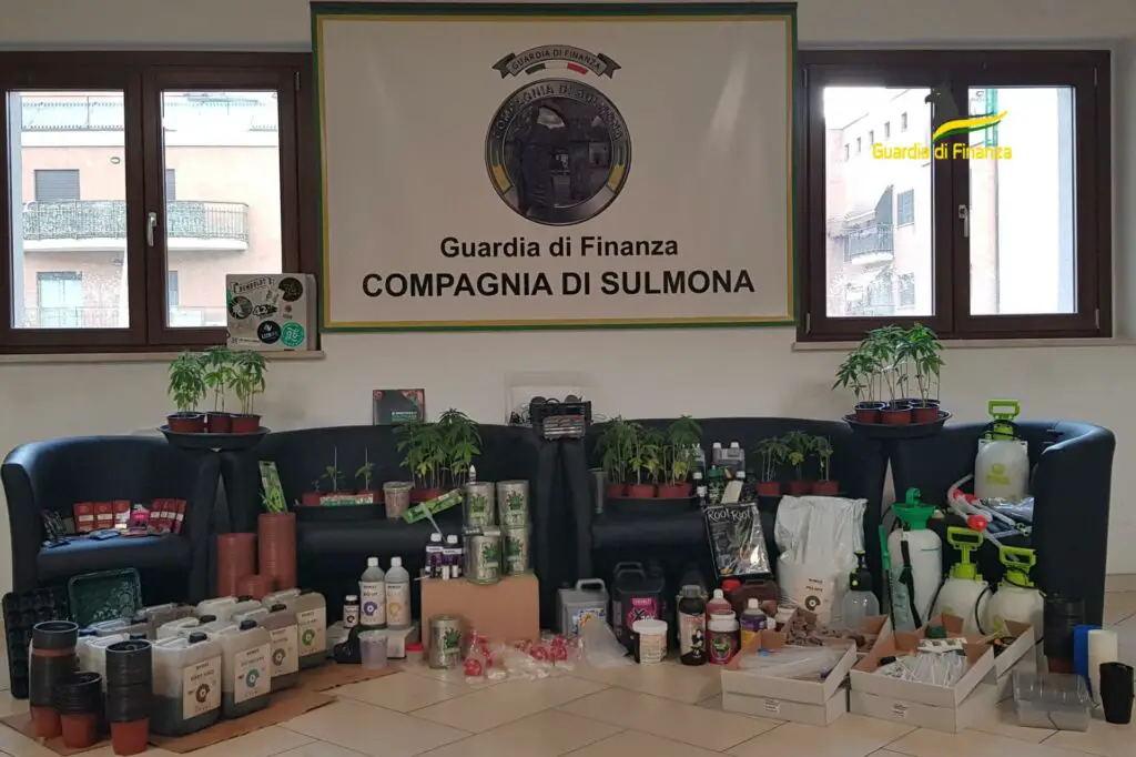  ‣ adn24 sulmona (aq) | arrestato produttore di marijuana: sequestrata piantagione