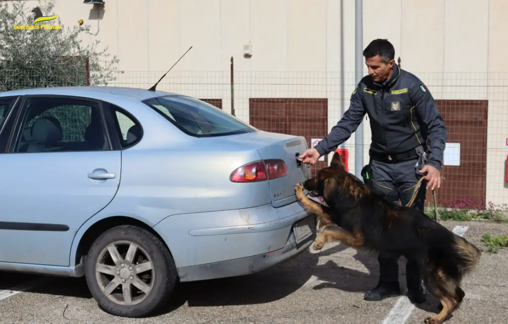  ‣ adn24 taranrto | sequestrate dosi di hashish, marijuana, eroina e cocaina: 22 segnalati